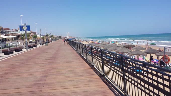 Bred lyxig strandpromenad från oss till staden La Mata med stranden på ena sidan och massor med restauranger på andra. 
